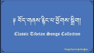 Classic Tibetan Songs  Tibetan Songs Collection  Best of Tibetan Song Oldies [upl. by Cartwright]