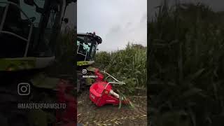 Maize Silage 2024 complete ✅ Claas Jaguar John Deere farming claas johndeere KemperVideo [upl. by Angelia]