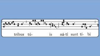 Constitues Eos SS Peter and Paul Gradual [upl. by Anomahs121]