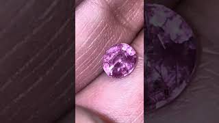 Amazing Sri Lankan Padparadcha no heat amp no treatment 3 carats [upl. by Lewie771]