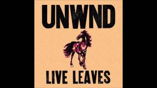 Unwound  Live Leaves Full Album 2012 HQ [upl. by Analahs337]