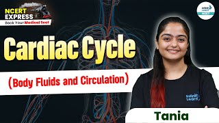 Complete Details of Cardiac Cycle  Body Fluids amp Circulation  NEET 2025  Class 11 Biology [upl. by Stewart]