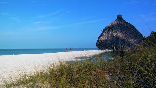 Lowdermilk Beach Park  Naples FL 022815 [upl. by Alberto21]