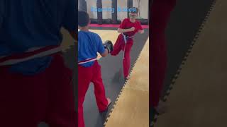 Sparring basics karate [upl. by Barrie895]