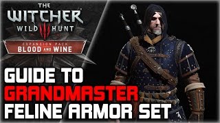 WITCHER 3 Grandmaster FELINE Armor Set GUIDE ► Diagrams Locations Crafting Stats Appearance [upl. by Stedmann]