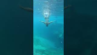 Glass Bottom Boat Tour through Santa Fe River and Gilchrist Blue Springs in High Springs Florida 🛶 [upl. by Anelis396]