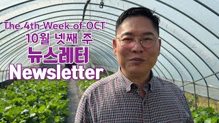 김성은 목사님의 북한사역 소식과 기도 2024년 10월 넷째 주 Newsletter amp prayers for North Korea by Pastor Seungeun Kim [upl. by Gusty]