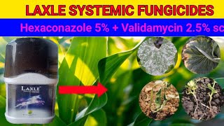 Laxle systemic fungicideshexaconazole 5  validamycin 25 sc  full information [upl. by Grunenwald]