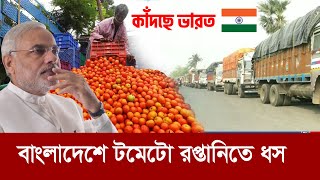 কাঁদছে ভারত  টমেটো আমদানি বন্ধ বাংলাদেশে  Tomato export  Bangladesh  India [upl. by Calabresi]