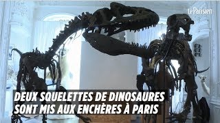 Deux squelettes de dinosaures sont mis aux enchères à Paris [upl. by Eboh]