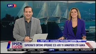 Newsbeastgr  Σαρκοφάγο έντομο βρέθηκε έξω από το δημαρχείο στη Λαμία [upl. by Aneleiram]