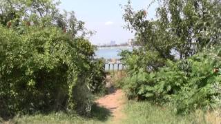 Neponset River Mouth  Quincy MA Squantum Point State Park Part 1 [upl. by Euk]