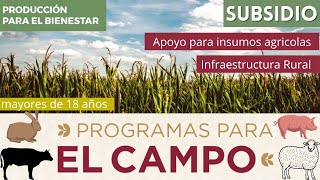 Producción para el Bienestar  Transformando el campo 💲REGISTRO 2024 Apoyo agrícola 🚜 apoyo pecuaria [upl. by Ennaeerb]