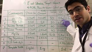 How To PCR Calculations [upl. by Haggerty979]