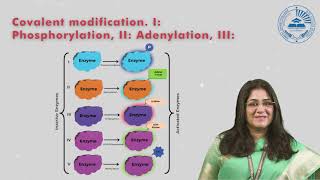 Methods of regulation of enzymes for metabolic regulation [upl. by Yerfdog]