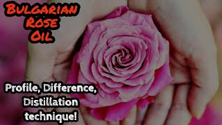 Bulgarian rose oil  Damask rose Explained [upl. by Aciras386]