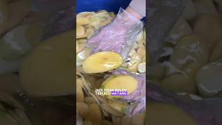 INTIPP‼️ PROSES BUAT KRIPIK MANGGA🥭‼️REMAJA SUKSES OMSET JUTAAN HARI HANYA DENGAN BISNIS ONLINE💸 [upl. by Aihgn]