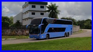 Movimentação De Ônibus Na Rodoviária De Recife  281024 [upl. by Hezekiah619]