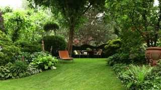 Moderne Gartengestaltung mit Pflanzen [upl. by Elad]