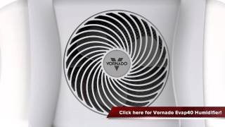 Vornado Evap40 4 Gallon Evaporative Humidifier Review [upl. by Acceb]