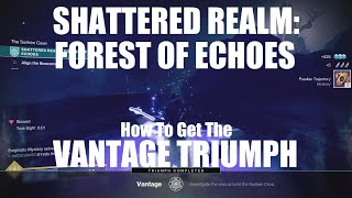 Destiny 2  How to get the Vantage Triumph Forest of Echoes Shattered Realm Secret Triumph [upl. by Pacifica]