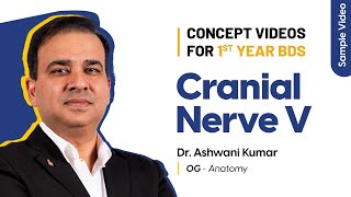 Cranial Nerve V  Sample Concept Video for 1st Year BDS  Dr Ashwini Kumar  Anatomy [upl. by Tnias]