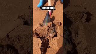 Esta cosa del desierto puede hacerte millonario😮 shortsvideo [upl. by Aislehc30]