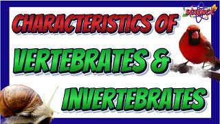 Characteristics of Vertebrates and Invertebrates  Science 6 Quarter 2 [upl. by Myrtle]