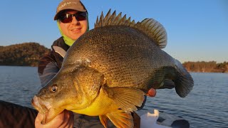 Windamere dam  Golden Spring Yellas  COD by catches [upl. by Gilliam564]