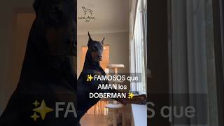 🔥Famosos que tienen un Doberman perrosdoberman dog [upl. by Giles]