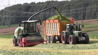 Fendt Katana 65 vs Krone big x V8 am GPS Häckseln 3x 724 936 9266140R 6810 HD [upl. by Tomasz495]