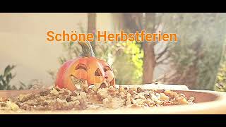 Schöne Herbstferien [upl. by Okorih]