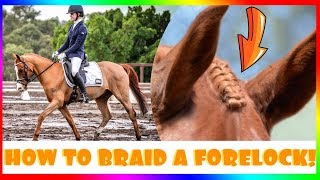 How To Braid A Forelock [upl. by Dat452]