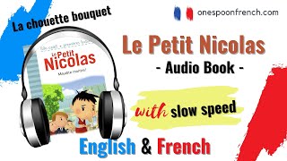 Le petit nicolas audio book  French  English sub  Very Slowly [upl. by Aelsel]