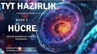 Hücre zarından madde geçişleriEndositoz ve Ekzositoz SORU ÇÖZÜMLERİ yks2025 [upl. by Uhej288]