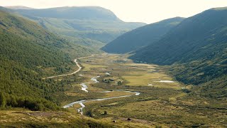 Grimsdalsvegen  30 juli 2024  Fra DombåsDovre til Folldal [upl. by Nahrut807]