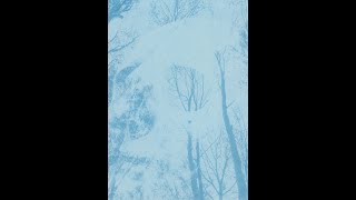 Halloween Cyanotype Process photography halloweenart fypyoutube roadto1ksubs [upl. by Lusty]