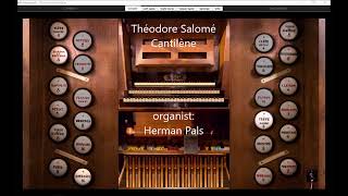 Théodore Salomé Cantilène Sonarte organ Hauptwerk Oloron SaintMarie [upl. by Chouest379]