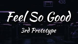 3rd Prototype  Feel So Good Lyrics [upl. by Langelo]