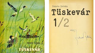 Tüskevár hangoskönyv  Fekete István 12 [upl. by Nyladnar]