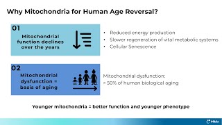 Human Age Reversal through Mitochondrial Transplantation [upl. by Llen]