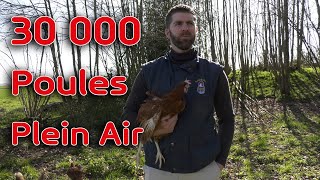 Un bâtiment de 30 000 poules plein air [upl. by Enilecram]