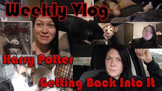 Starting Harry Potter Getting back into Creativity and The Swing of Things Weekly Vlog [upl. by Irovi]