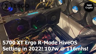 5700 XT Ergo RMode HiveOS Setting in 2022 107w  116mhs [upl. by Yhtamit]