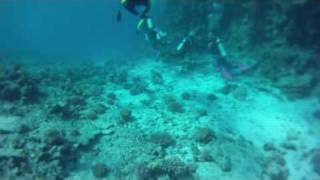 Scuba Diving in Hurghada Egypt with HD GoPro Hero [upl. by Teloiv]