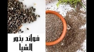 فوايد بذور الشيا · بذور الشيا بذور طبيعية فوايدها سحرية  5 فوائد مذهلة لحبوب الشيا [upl. by Kragh958]