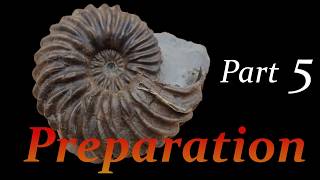 Ammonite preparation Hoplites from Troyes Part 5 [upl. by Bonita]