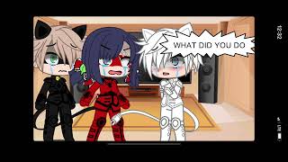 Ladybug and chat noir are stuck in a room with chat blanc for 24 hours [upl. by Ttenrag427]