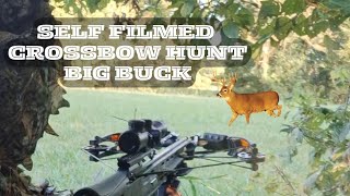 crossbow hunt 8pt buck amp 2 does missouri archery deer hunting [upl. by Nimaj588]