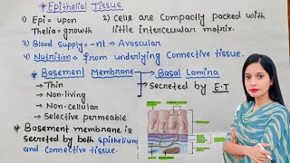 ANIMAL TISSUE  EPITHELIAL TISSUE  NCERT  CLASS 11 BIOLOGY [upl. by Eduardo]